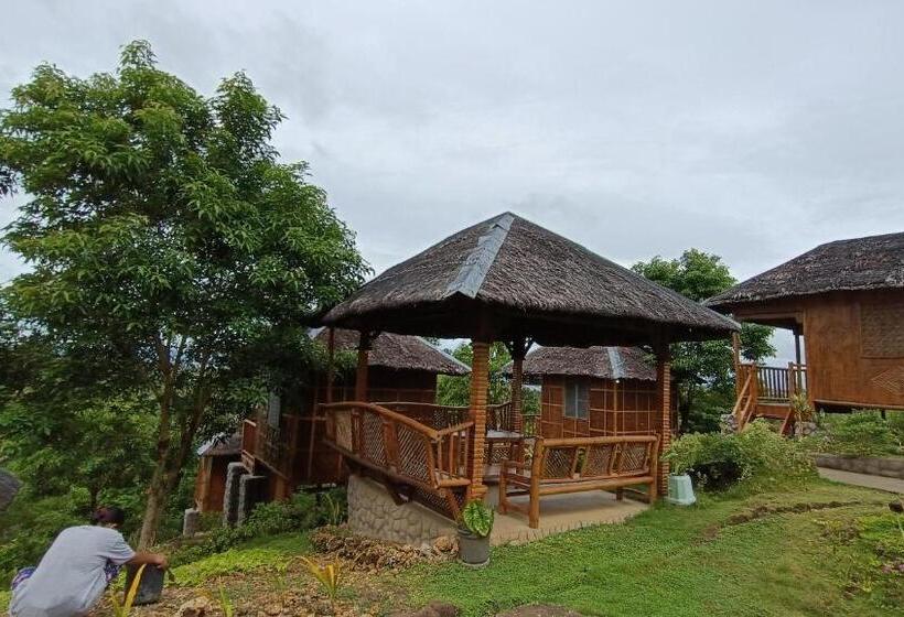 Bed and Breakfast Loony Cafe & Guesthouse