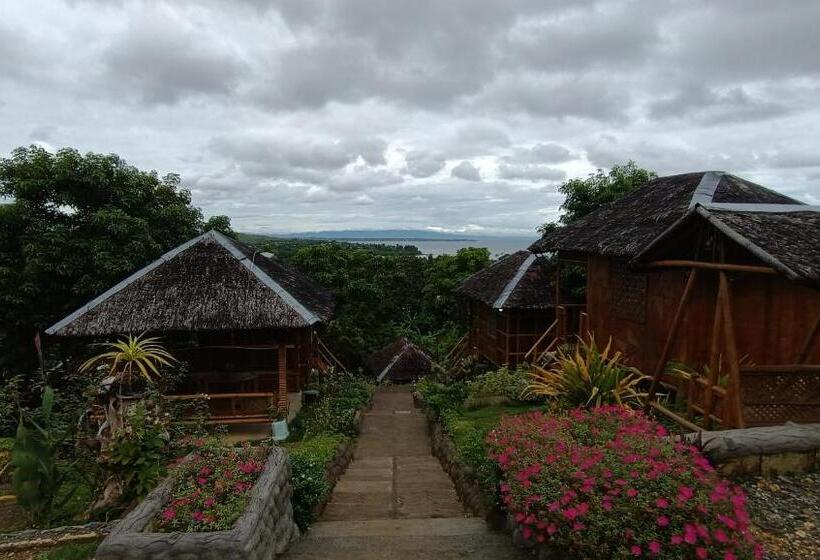 Bed and Breakfast Loony Cafe & Guesthouse