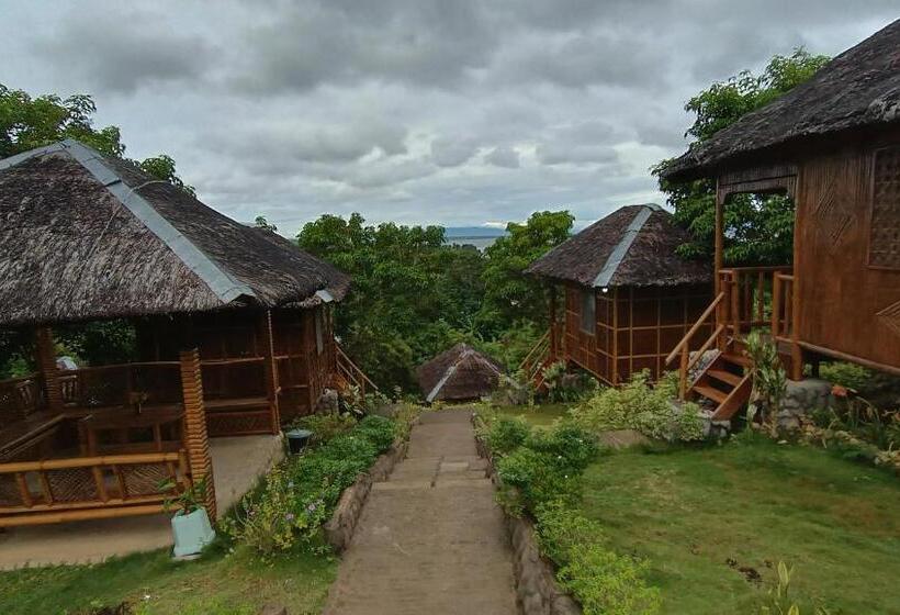 Bed and Breakfast Loony Cafe & Guesthouse