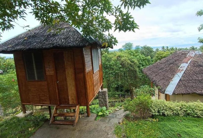 Bed and Breakfast Loony Cafe & Guesthouse