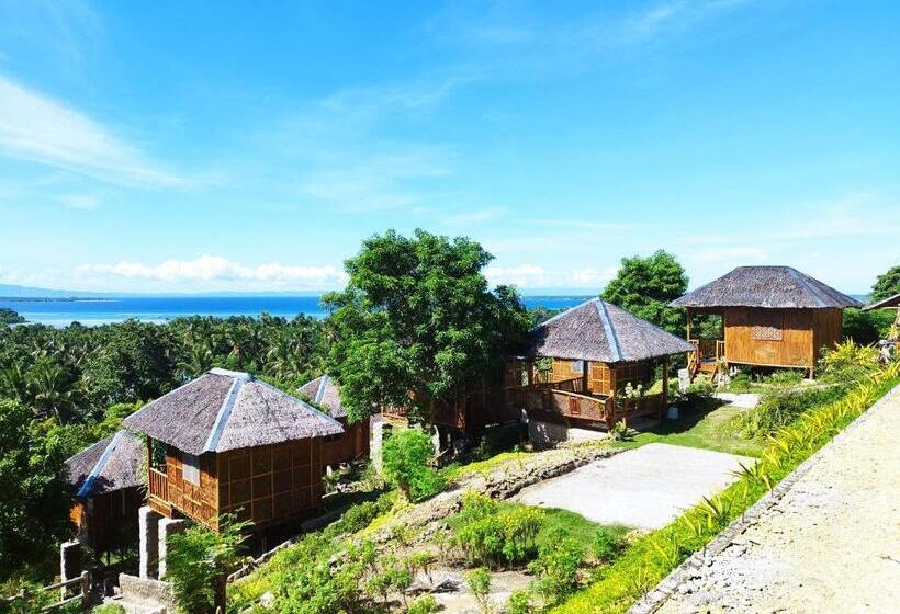 Bed and Breakfast Loony Cafe & Guesthouse