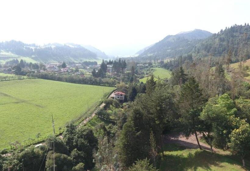 ベッドアンドブレックファースト Nono Villa Doris