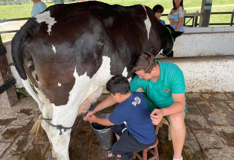 Flat Hotel Fazenda Monte Castelo