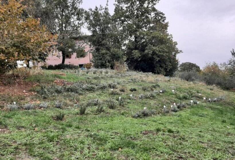 בית מלון כפרי Agriturismo La Romanella