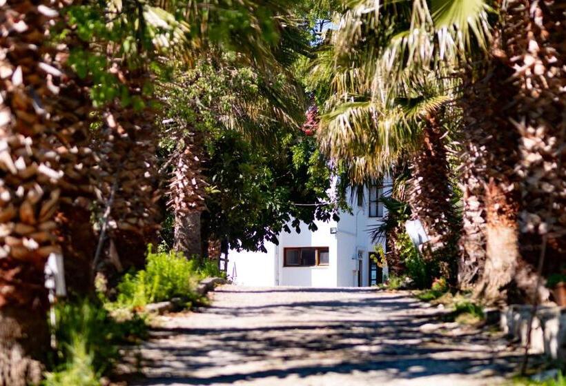 酒店 Deydaa Ekoloji Kampı