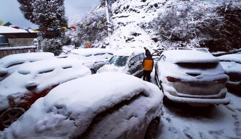 호텔 Dhanaulti Breeze Homestay