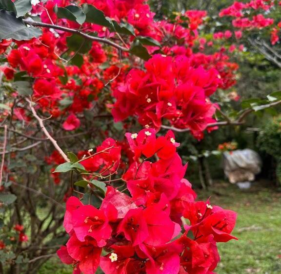 فندق /finca Portal De La Ceiba