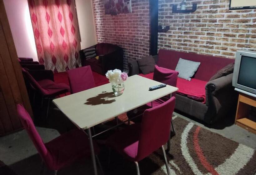 בית מלון כפרי Hostal Nfrocket