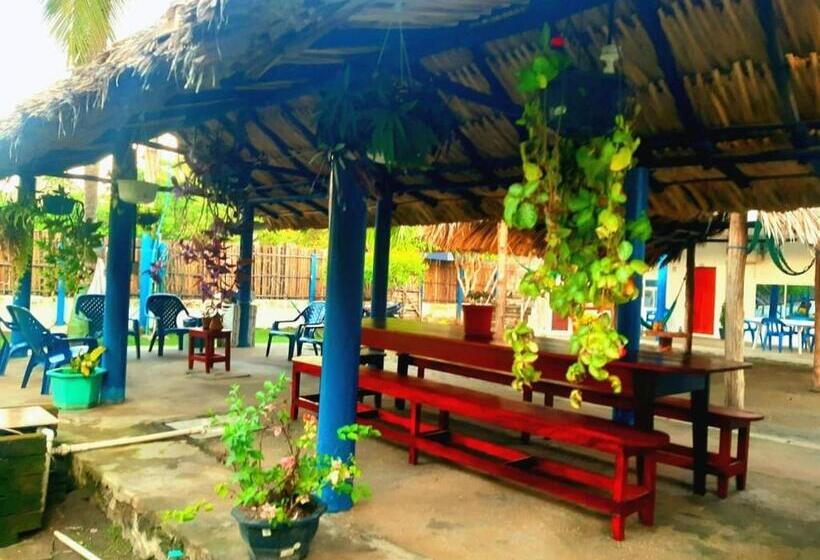 Отель Kosta Luna