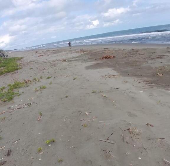 Отель Kosta Luna