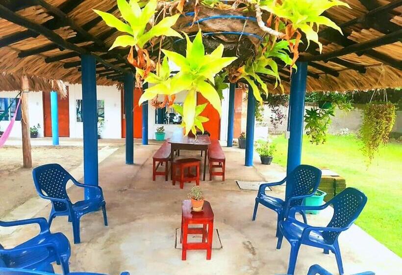 Отель Kosta Luna