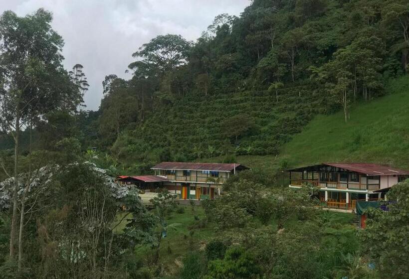 Отель Reserva Natural Finca La Cabaña