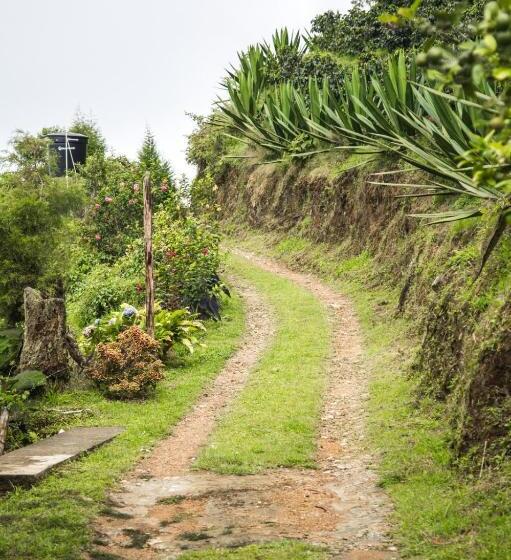 Отель Reserva Natural Finca La Cabaña