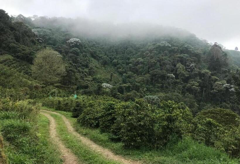 Отель Reserva Natural Finca La Cabaña