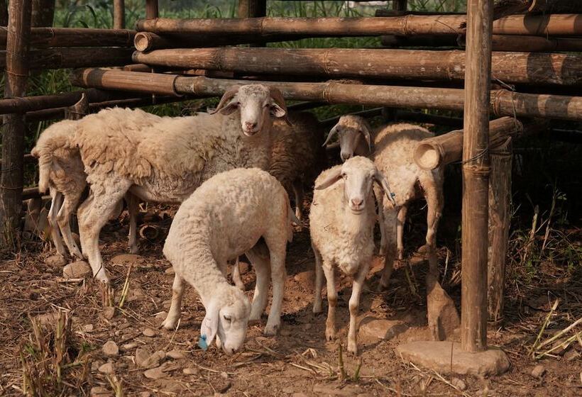 هتل Sky Bay Lodge