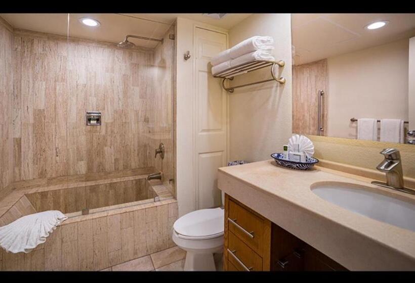 酒店 Villa Del Palmar Los Cabos