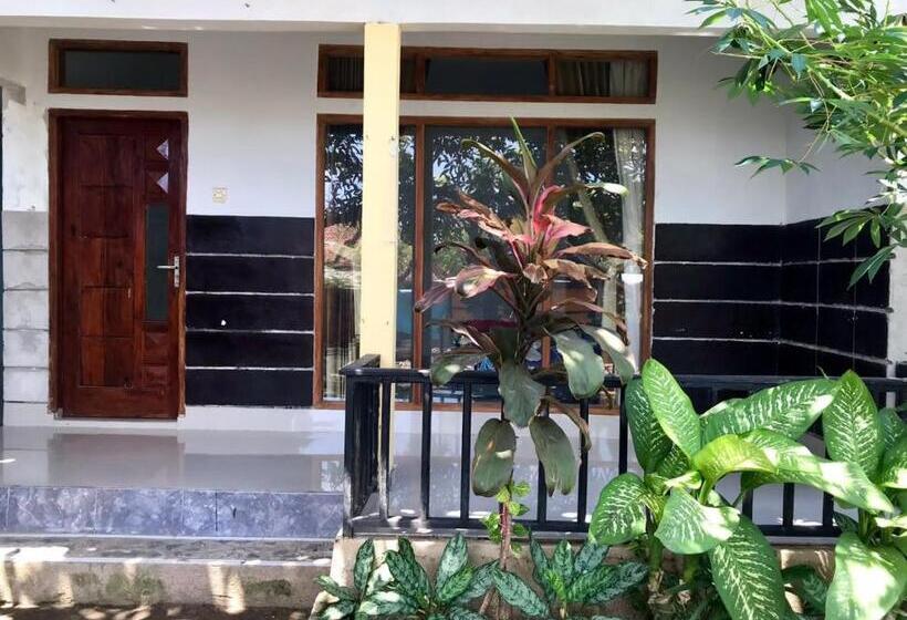 פנסיון Adi Guest House