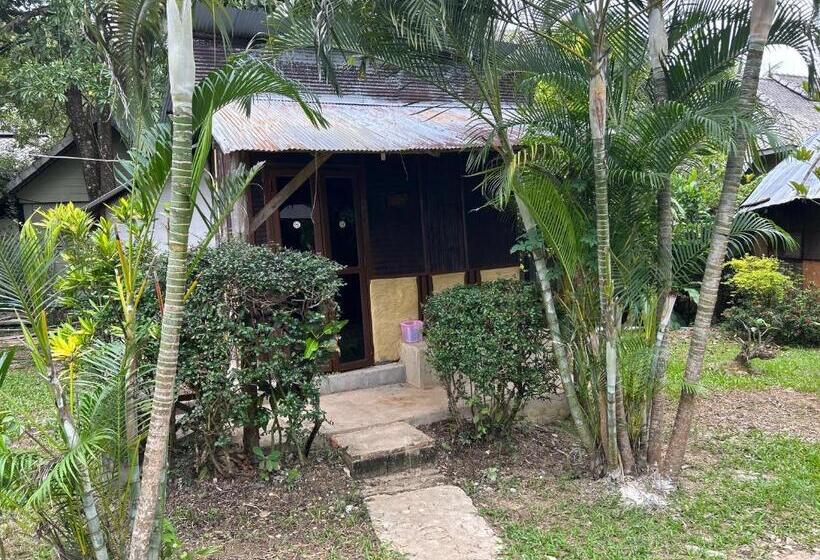 بنسيون Blue Stone