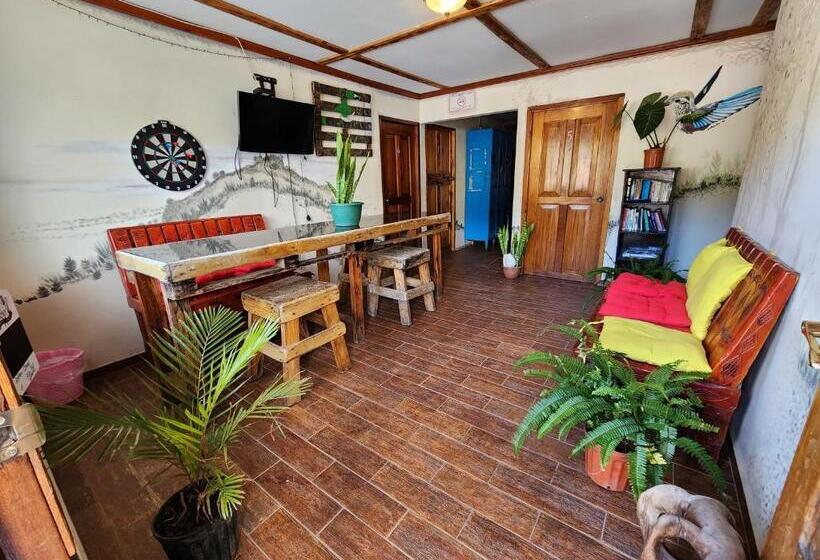 פנסיון Boho By Arte Hostal Boquete