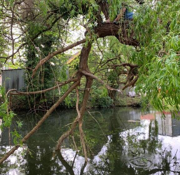 Пансион Broadwalk7