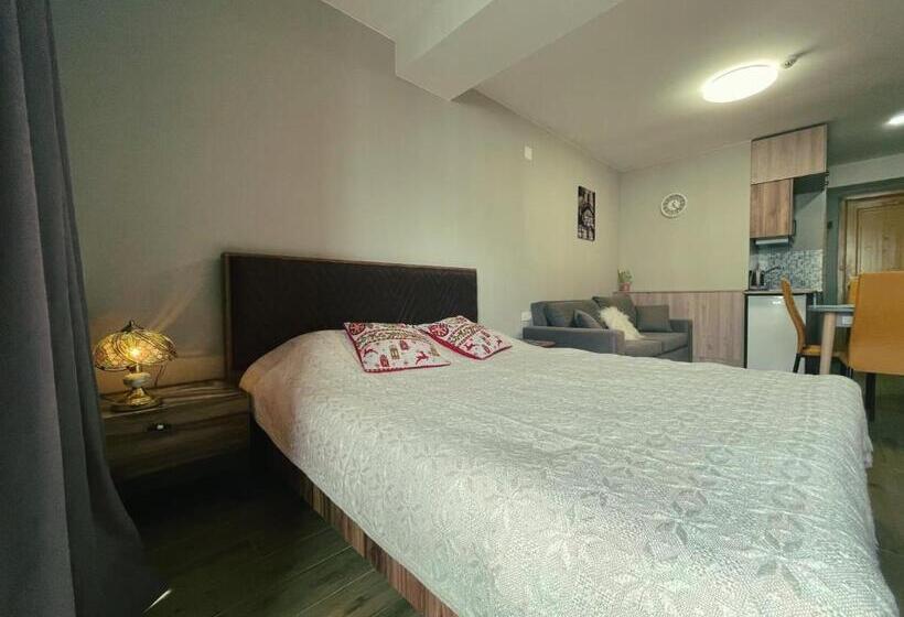 پانسیون Didveli Gallery Apartment B 309