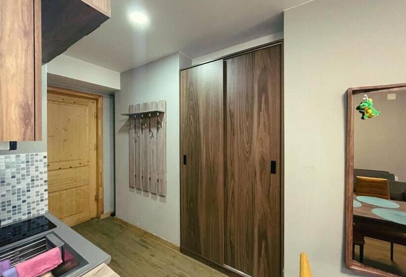 پانسیون Didveli Gallery Apartment B 309