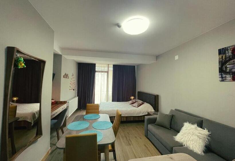 پانسیون Didveli Gallery Apartment B 309