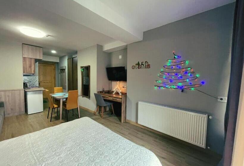 پانسیون Didveli Gallery Apartment B 309