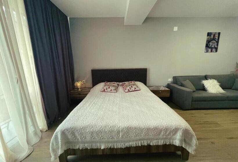 پانسیون Didveli Gallery Apartment B 309