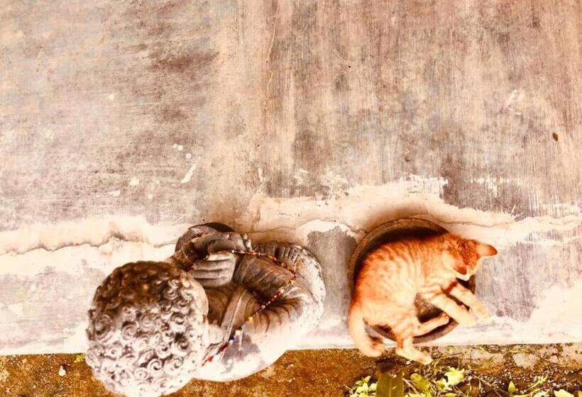 פנסיון Eco Bamboo