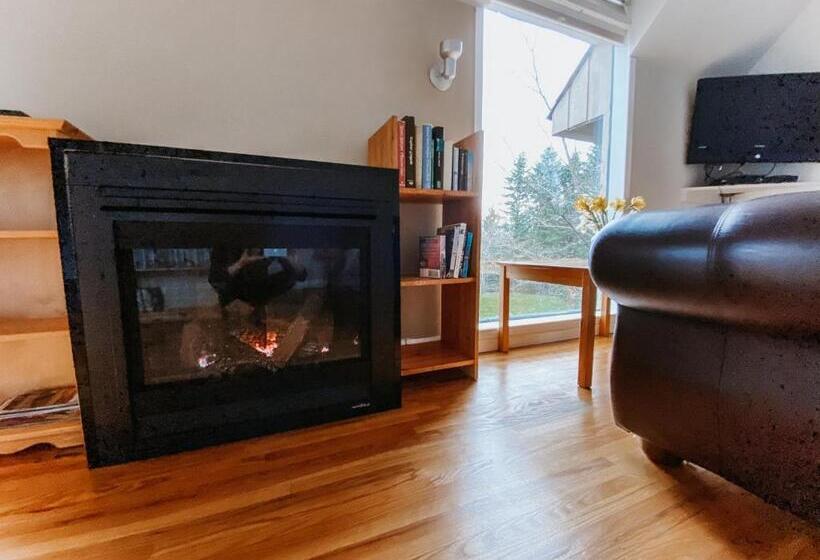 بنسيون Irish Mountain Suites