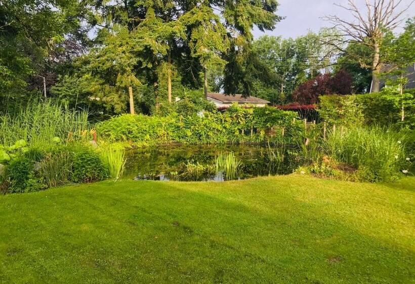 פנסיון La Gazza Ladra