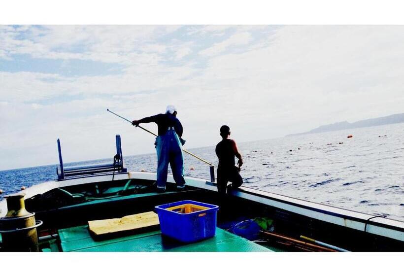 بنسيون Umi To Hoshizora No Chisana Yado Wassa Wassa   Vacation Stay 86554v