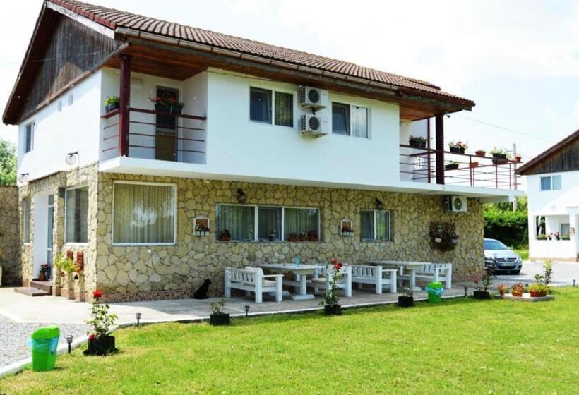 بنسيون Vis De Vara