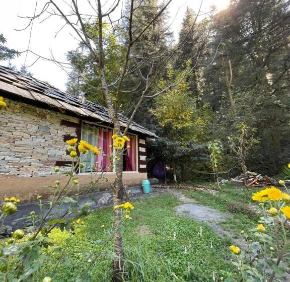 Курорт The Great Escape   A Jibhi Paradise