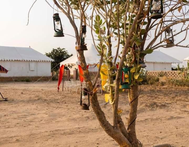 منتجع Rising Star Desert Camp