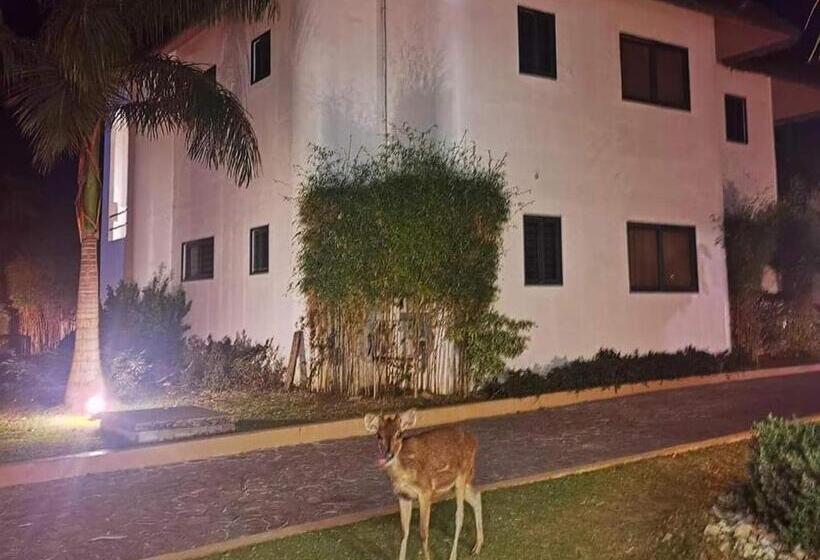 Safari Hotel And Villas Vigan City Ilocos Sur