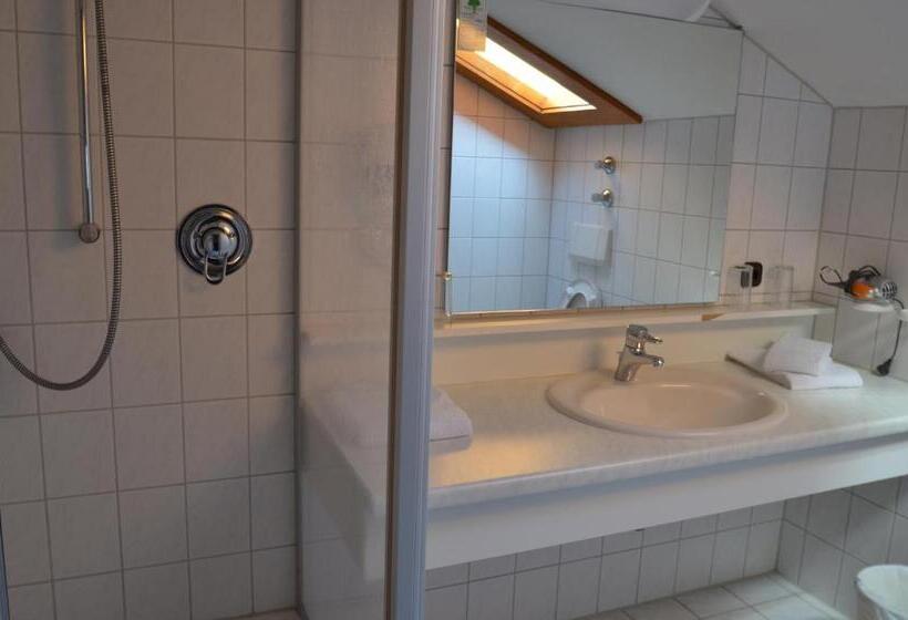 Alpenhotel Widderstein