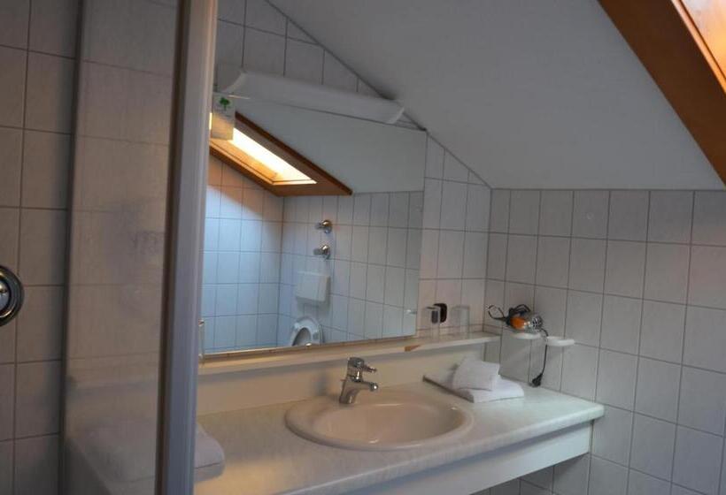 Alpenhotel Widderstein