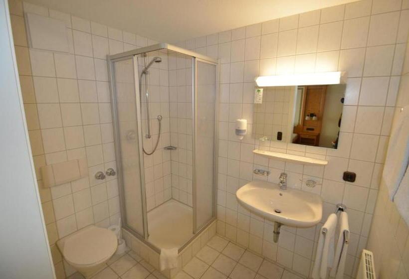 Alpenhotel Widderstein