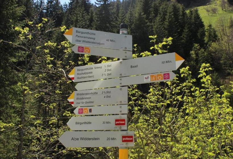 Alpenhotel Widderstein