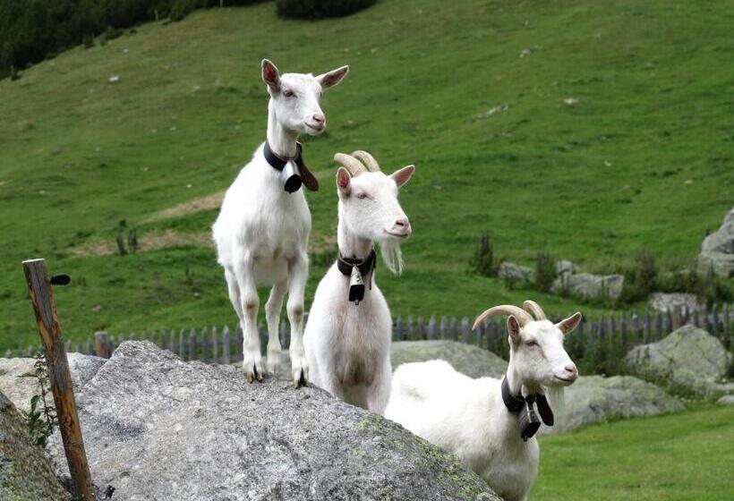 هتل Alpengasthof Norbertshöhe Superior