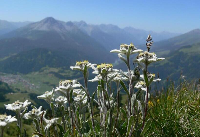 هتل Alpengasthof Norbertshöhe Superior