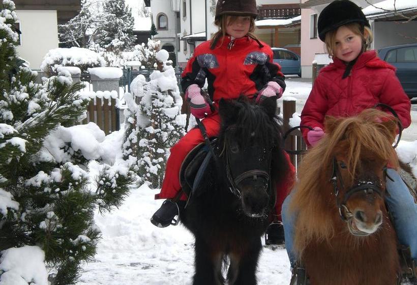 Отель Alpenpension Höfler