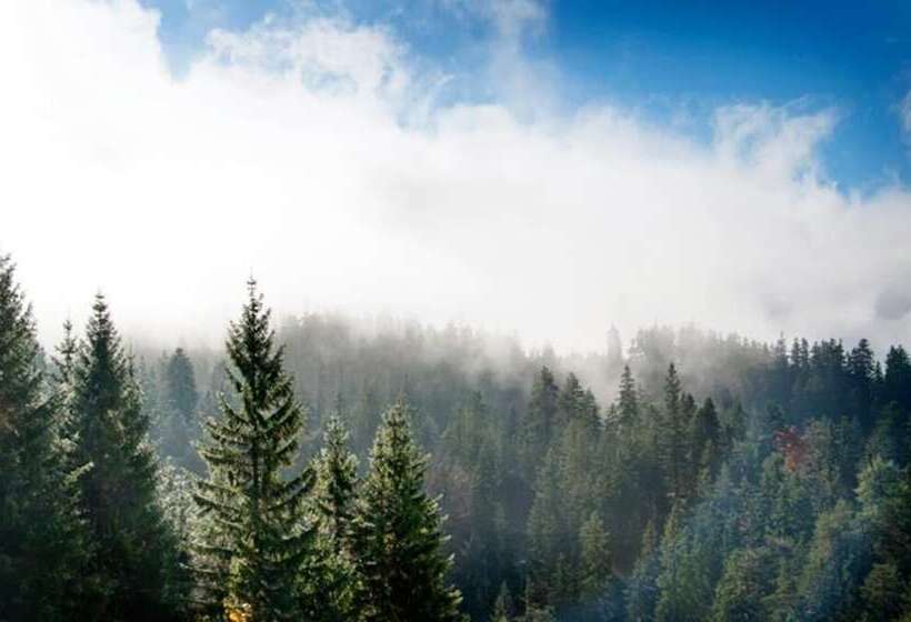 בית מלון כפרי Alpenretreat