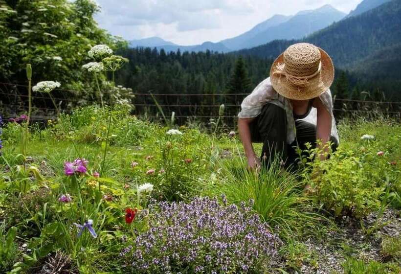 בית מלון כפרי Alpenretreat