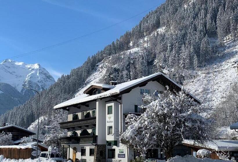 Отель Apart Matthias