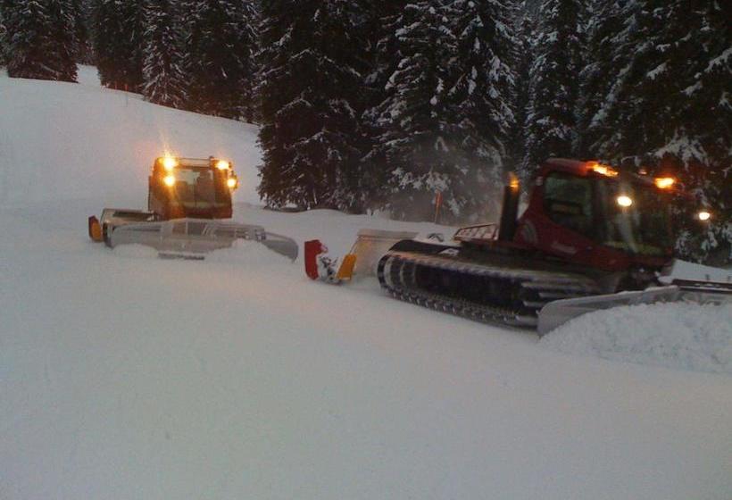 호텔 Apartment Bachmann