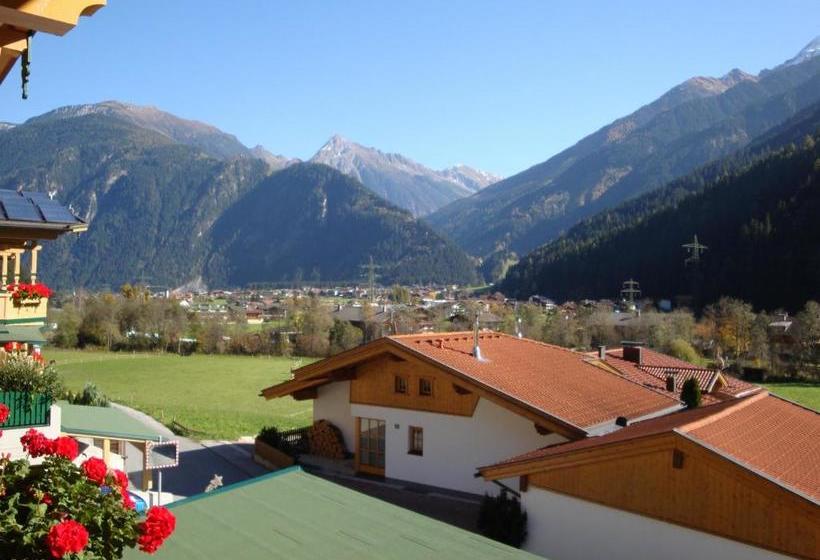 ホテル Appartementhaus Zillertal