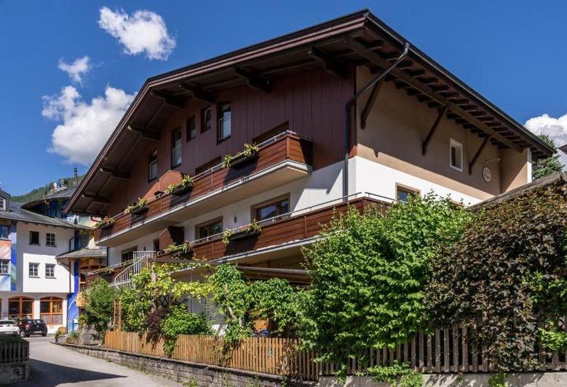 فندق Appartements Rieser In Mayrhofen